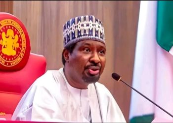 Excluding South East Could Be An Omission – Deputy Senate President, Barau Jibrin