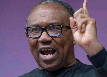 I Attend All Coalition Meetings, 2027 Will Be Different, Our Votes Must Count, We’ll Not Agonise – Peter Obi