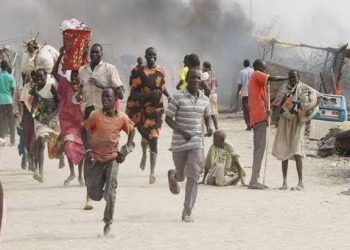 Exposing the Roots: Investigative Journalism and the Fight Against Insecurity and Corruption