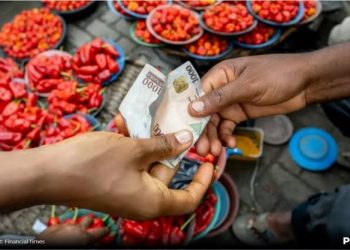 Nigeria’s Soaring Cost of Living: A Nation Under Strain as Rice Hits N100,000