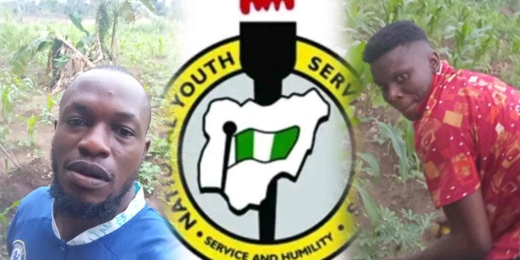NYSC: My Journey With Agriculture In Akwa Ibom State [VIDEO] – Godwin Asiegbu