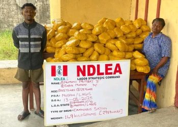 JUST IN: Notorious Drug Kingpin Arrested in Delta as NDLEA Intercepts N7.8bn Opioids in Rivers [PHOTOS]