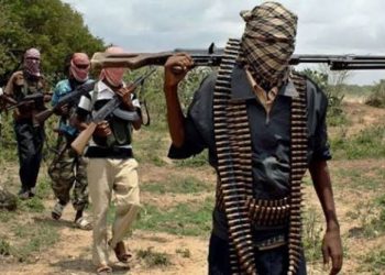 Another Vigilante Operative, Four Civilians Killed as Gunmen Strike Again in Imo