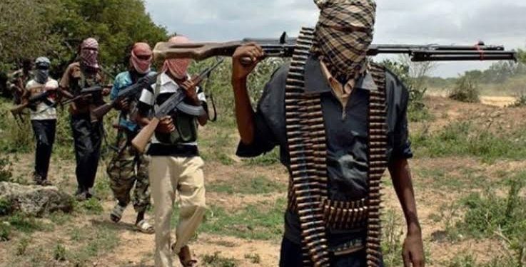 Another Vigilante Operative, Four Civilians Killed as Gunmen Strike Again in Imo