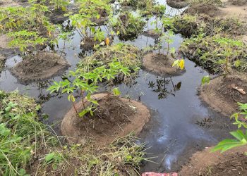BREAKING: A Silent Devastation Haunting the Niger Delta