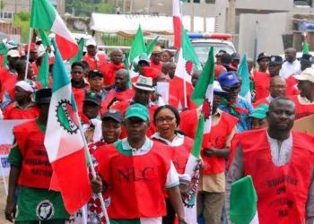 Tension Rises as NLC Declares ₦70,000 Minimum Wage ‘Too Small to Survive’”