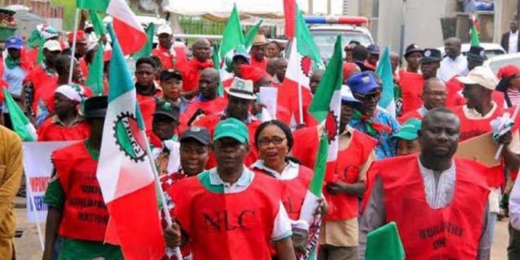 Tension Rises as NLC Declares ₦70,000 Minimum Wage ‘Too Small to Survive’”