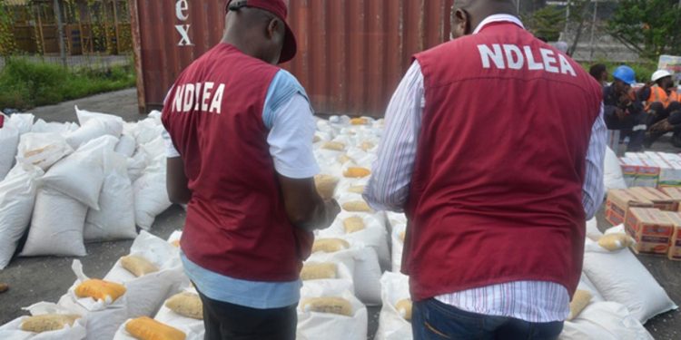 NDLEA Smashes Multi-Billion Naira International Drug Cartel