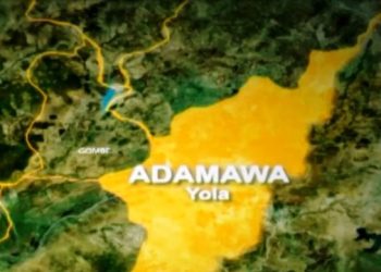 BREAKING: Federal Government Investigates Mysterious Flesh-Eating Disease in Adamawa State