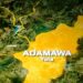 BREAKING: Federal Government Investigates Mysterious Flesh-Eating Disease in Adamawa State