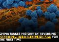 BREAKING: China Makes History by Reversing Diabetes with Stem Cell Therapy
