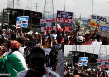 Gatekeepers of Democracy Defend NLC’s Role in Protecting Workers and Democracy