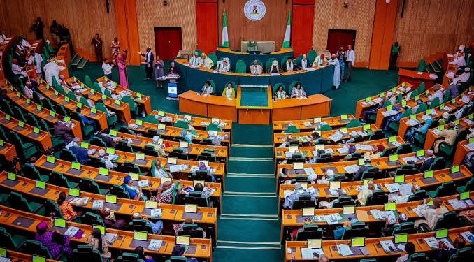 National Assembly Halts 2025 Budget Contract Awards, Extends Capital Projects to 2026