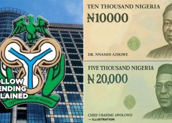 Why Economists Urge CBN to Introduce ₦10,000 and ₦20,000 Notes