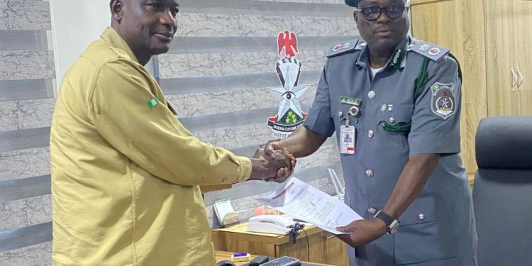 JUST IN: Customs Seizes Donkey Parts Worth ₦3.94bn, Hands Over to NESREA in Kaduna [PHOTOS]