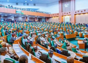 Reps to Enforce Strict Oversight on Women Affairs Budget – Ogbara