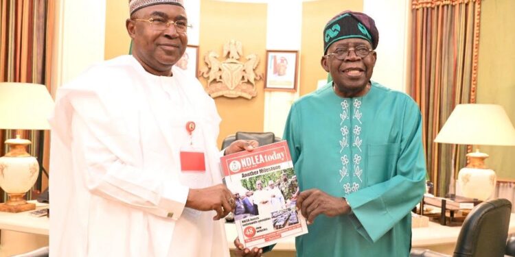 Why Tinubu Reappoints Buba Marwa as NDLEA Chairman for Another Five-Year Term