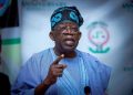 JUST IN: Tinubu Makes Fresh Five Appointments
