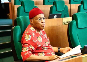 Hon. Obi Aguocha Highlights Constitutional Authority of Southeast Lawmakers and the Consequences of Disunity