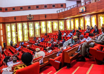 Senator Pushes for Online Payment Reforms to Boost Nigerian Creators’ Earnings