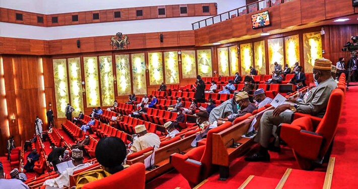 Senator Pushes for Online Payment Reforms to Boost Nigerian Creators’ Earnings