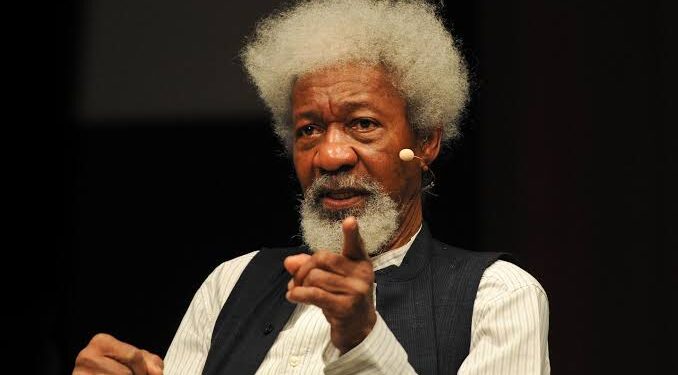 VIDEO: Soyinka Questions Seyi Tinubu’s Heavy Security, Jokingly Suggests He Should Have Been Sent to Stop Benin Coup