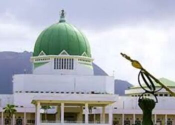 National Assembly Moves to Clarify Alleged Discrepancies in Tax Acts