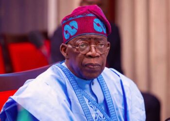 Nigeria’s New Economic Model Under Tinubu Poised to Lift GDP in 2026 – IMPI