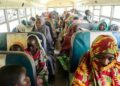 BREAKING: FG, Borno Government Complete Repatriation of Nigerian Refugees from Cameroon