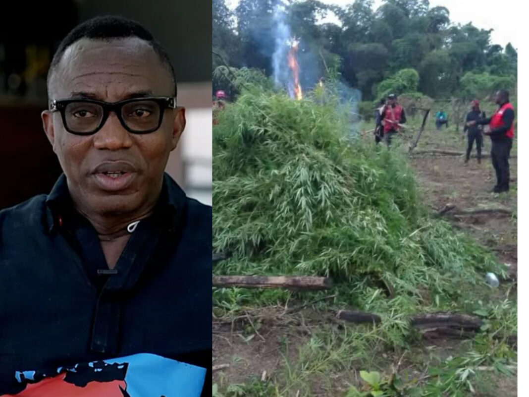 Omoyele Sowore